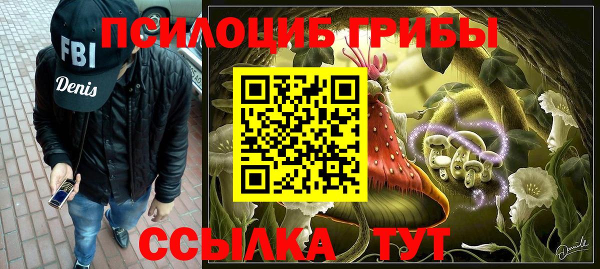 Бирск  Галлюциногенные грибы Psilocybine cubensis  Вход с VPN 