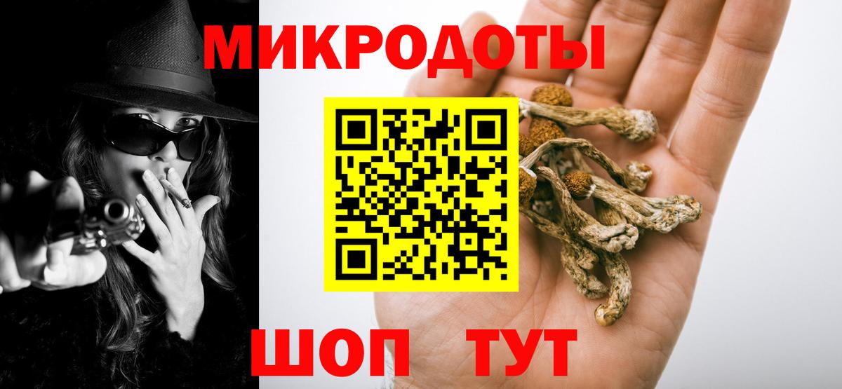 Псилоцибиновые грибы мицелий Бирск