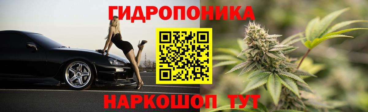 Бошки Шишки сатива Бирск